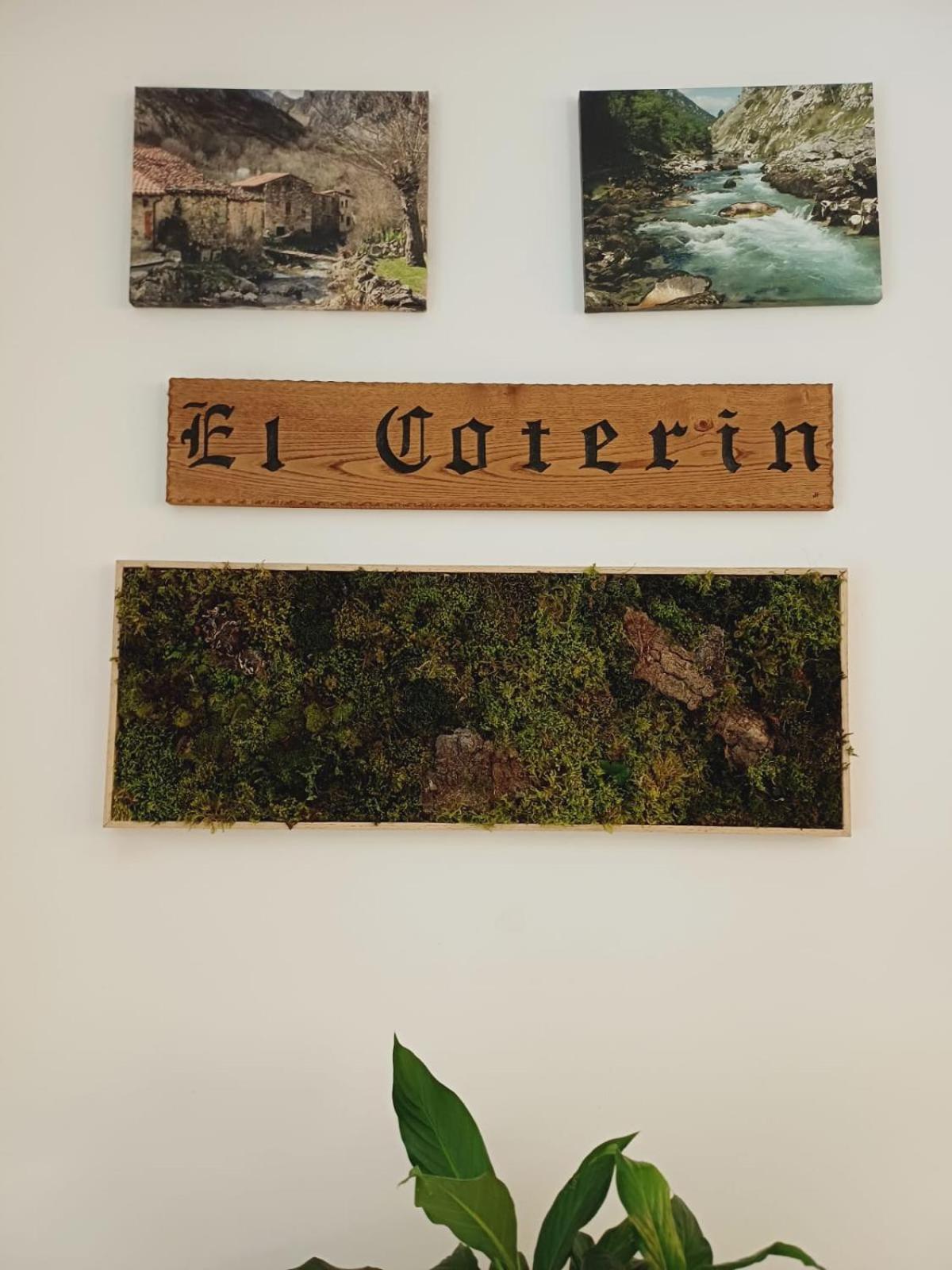 Hotel El Coterin Apartamentos Y Habitaciones Arenas De Cabrales Εξωτερικό φωτογραφία